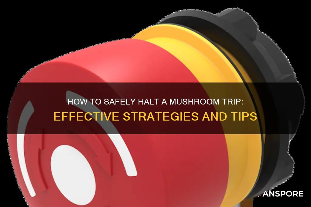 can a mushroom trip be stoped