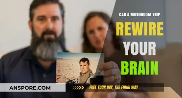 Mushroom Trips and Brain Rewiring: Unlocking Psychedelic Potential