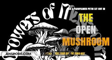 Parafilmed Petri Dishes: Safe for Open-Air Mushroom Cultivation?