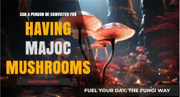 Legal Consequences of Possessing Magic Mushrooms: Conviction Risks Explained