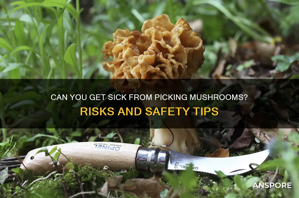 can a person get sick from picking mushrooms