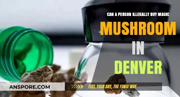Denver's Magic Mushroom Laws: Legal or Illegal to Purchase?