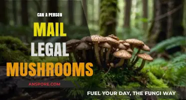 Mailing Legal Mushrooms: What You Need to Know Before Shipping