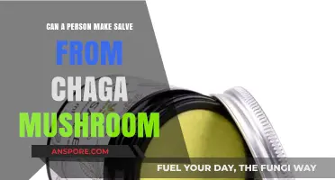 Crafting Chaga Salve: A Guide to Making Healing Mushroom Ointment