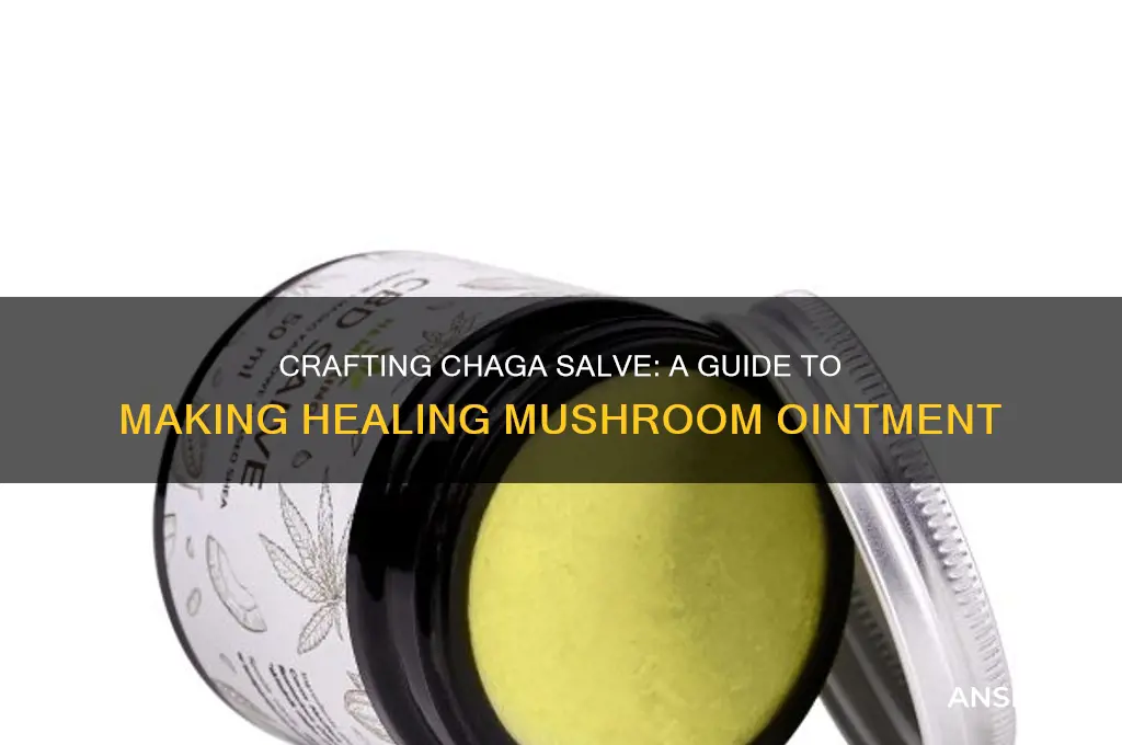 can a person make salve from chaga mushroom