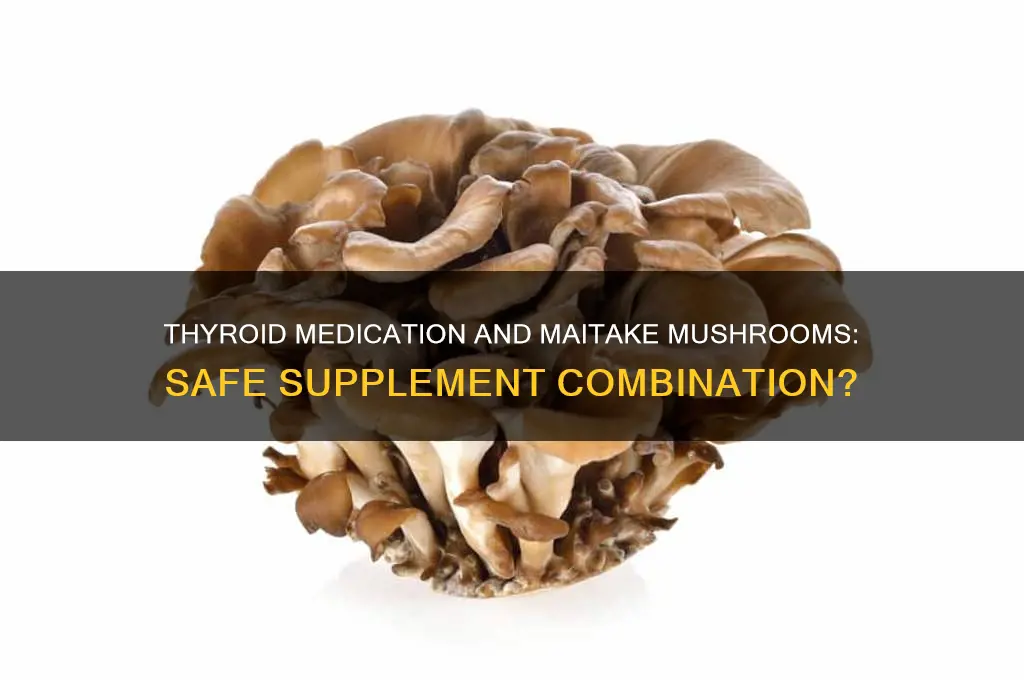 can a person on thyroid medicine take maitake mushroom supplements