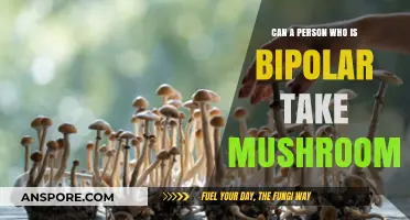 Bipolar Disorder and Psilocybin: Exploring the Risks and Considerations