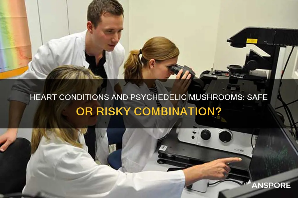 can a person with a heart condition eat psychedelic mushrooms