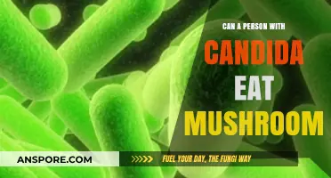 Can Candida Sufferers Eat Mushrooms? A Dietary Dilemma Explored