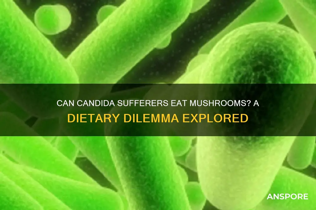 can a person with candida eat mushrooms