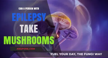 Epilepsy and Mushrooms: Safety, Risks, and What You Need to Know
