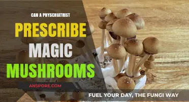 Can Psychiatrists Legally Prescribe Magic Mushrooms for Mental Health?