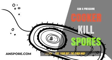 Pressure Cookers and Spores: Can Heat Destroy These Resilient Microorganisms?