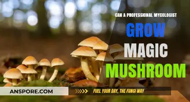 Can Professional Mycologists Legally Cultivate Psilocybin Mushrooms?