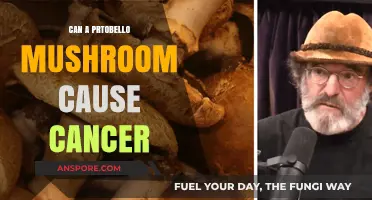 Portobello Mushrooms and Cancer: Separating Fact from Fiction