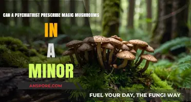 Can Psychiatrists Legally Prescribe Magic Mushrooms to Minors? Exploring the Debate