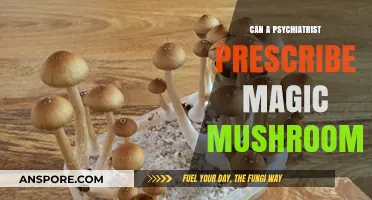Can Psychiatrists Legally Prescribe Magic Mushrooms for Mental Health?