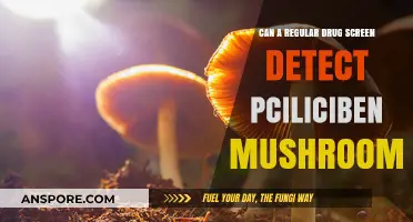 Can Psilocybin Mushrooms Be Detected in Standard Drug Tests?