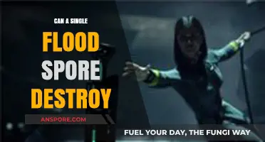 Can a Single Flood Spore Unleash Devastation? Unveiling the Truth