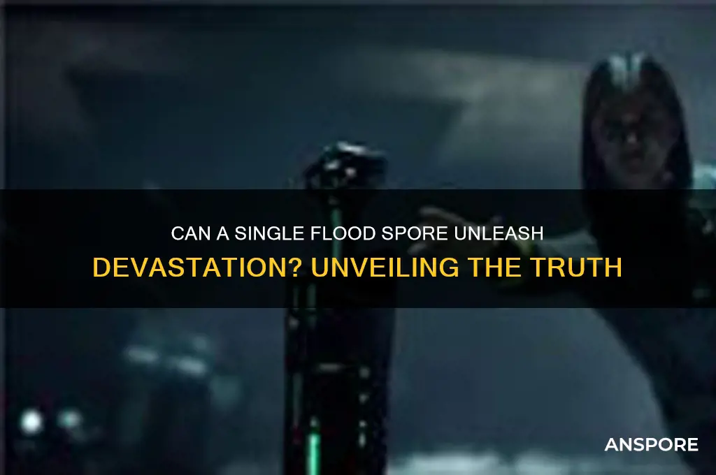 can a single flood spore destroy