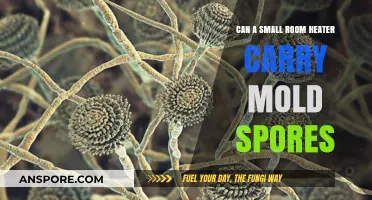 Small Room Heaters: Unseen Carriers of Mold Spores?