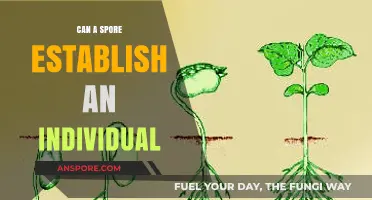 Can Spores Develop into Independent Individuals? Exploring the Science