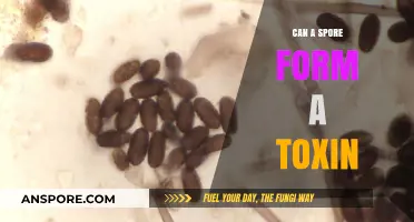 Can Spores Produce Toxins? Unveiling the Hidden Dangers of Microbial Spores