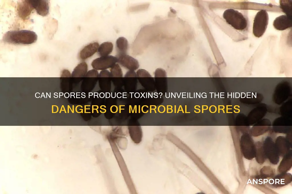 can a spore form a toxin