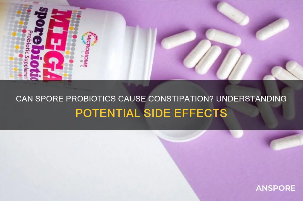 can a spore probiotic cause constipation