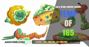 Can Spores Survive Cooking at 165°F? The Truth Revealed