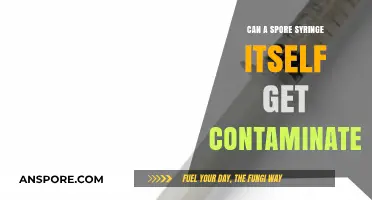 Can Spore Syringes Self-Contaminate? Understanding Risks and Prevention