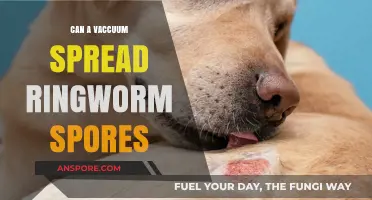 Can Vacuuming Spread Ringworm Spores? Risks and Prevention Tips