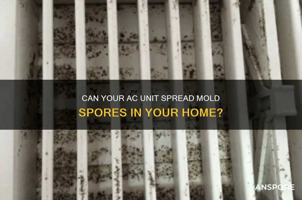 can ac unit blow mold spores into house
