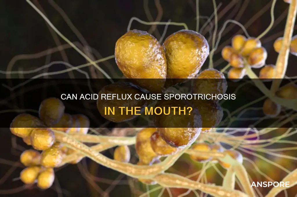 can acid reflux cause a spore pn mouth
