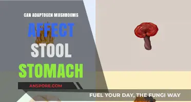 Adaptogen Mushrooms and Digestive Health: Impact on Stool and Stomach