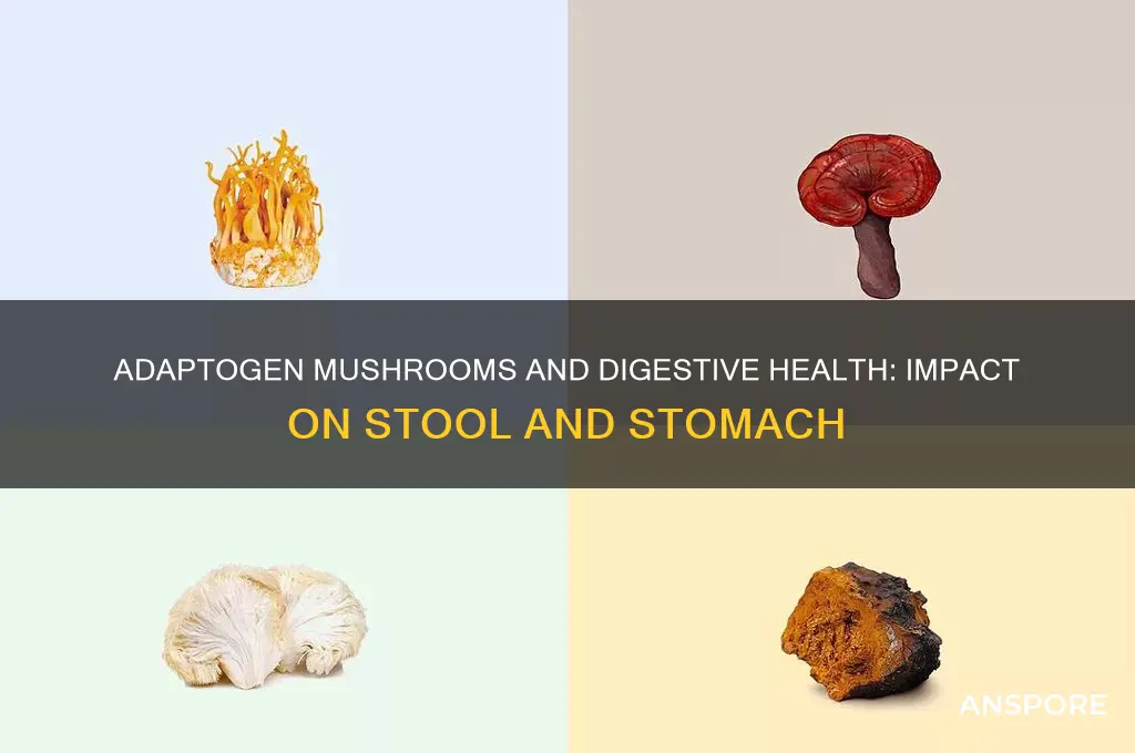 can adaptogen mushrooms affect stool stomach