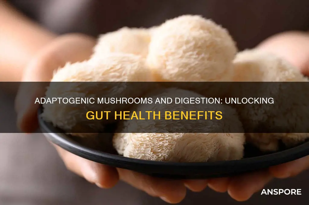 can adaptogenic mushroom affect digestion