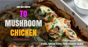 Cheesy Mushroom Chicken: Elevate Your Dish with a Creamy Twist