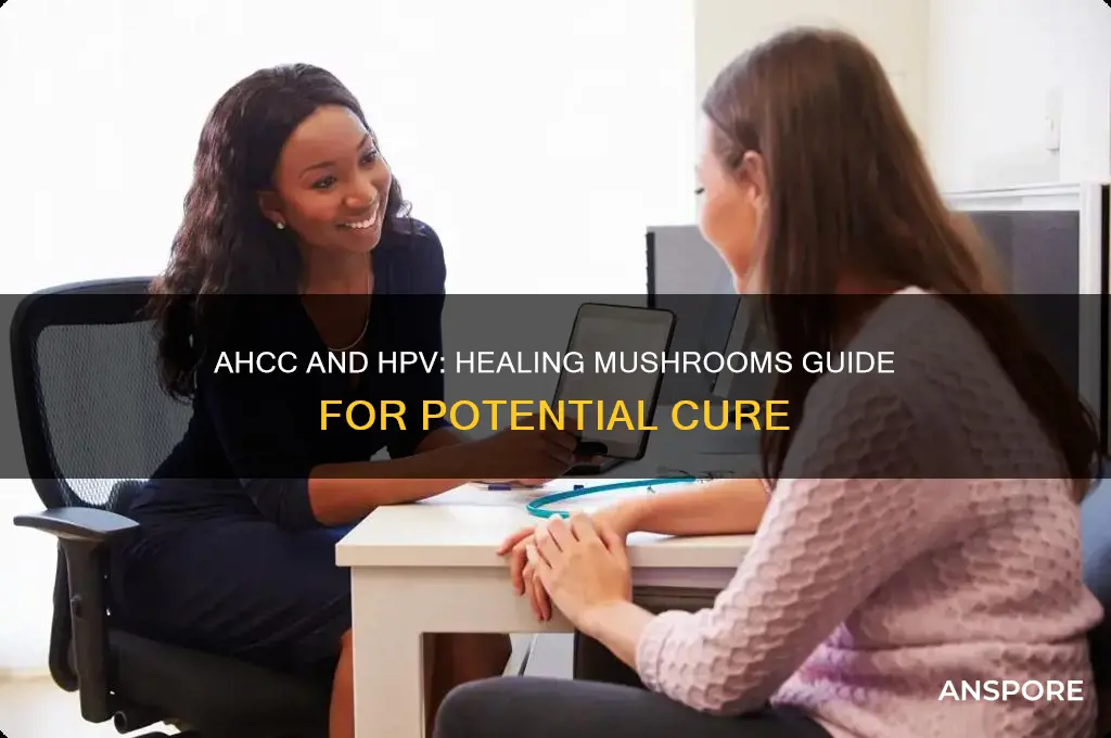 can ahcc cure hpv healing mushrooms guide