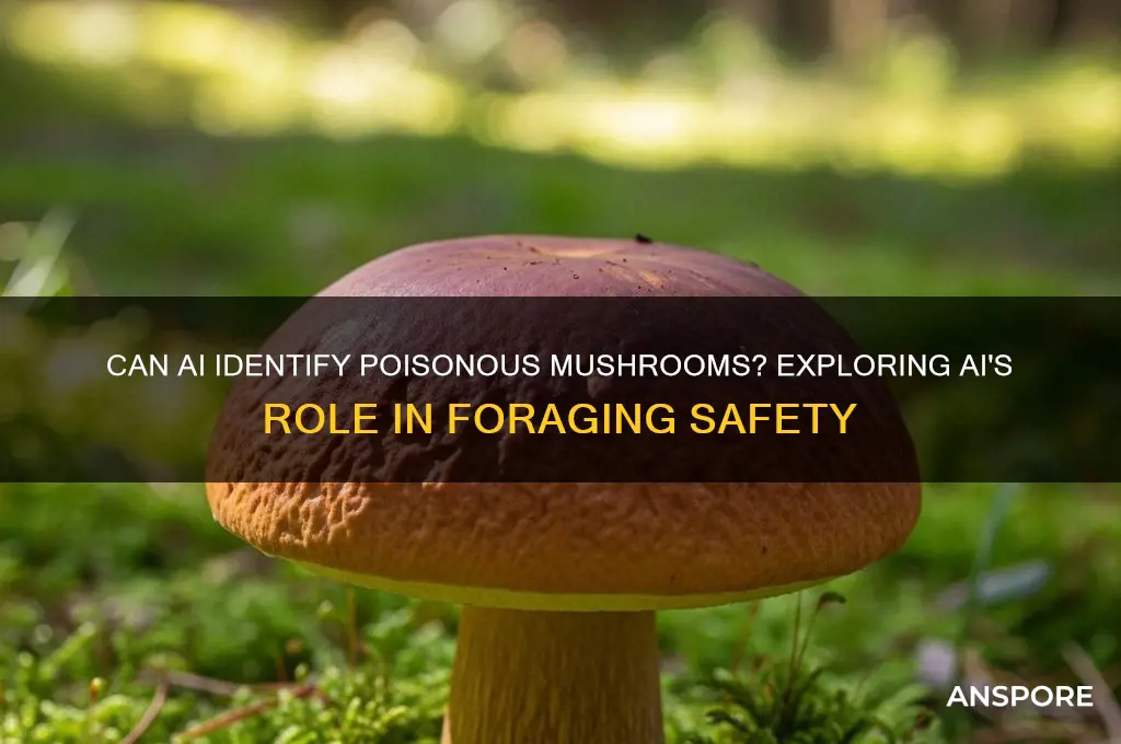 can ai tell what mushrooms are bad