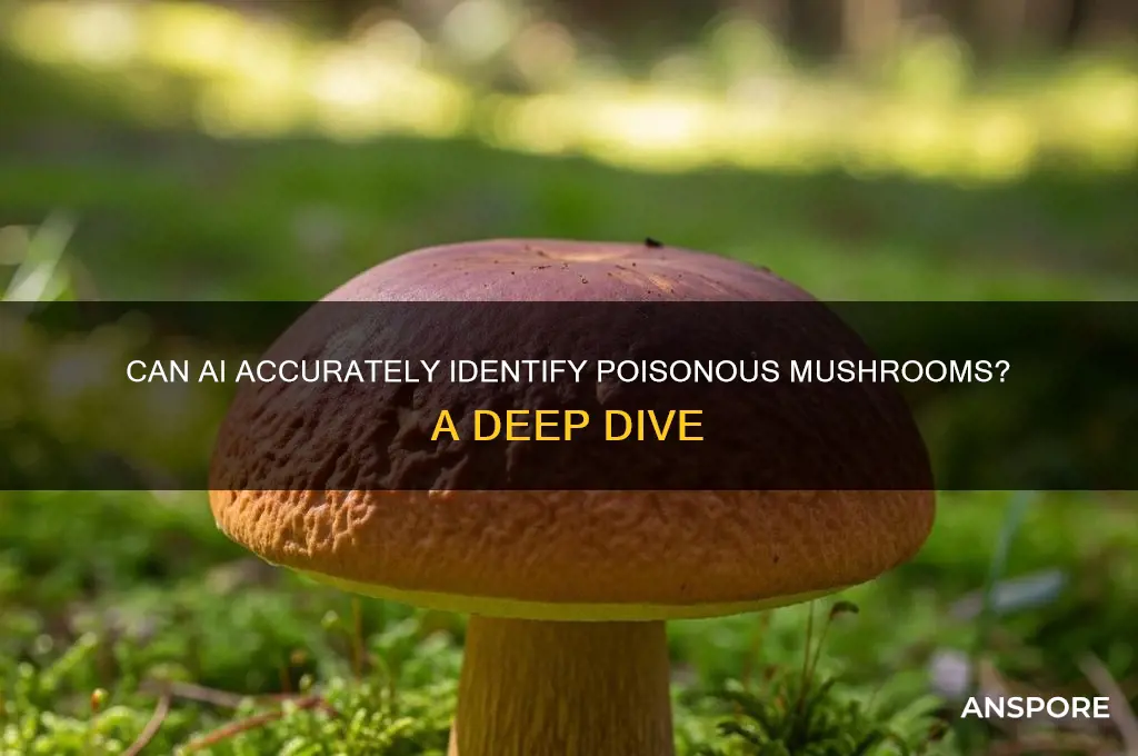 can ai tell what mushrooms are poisonous