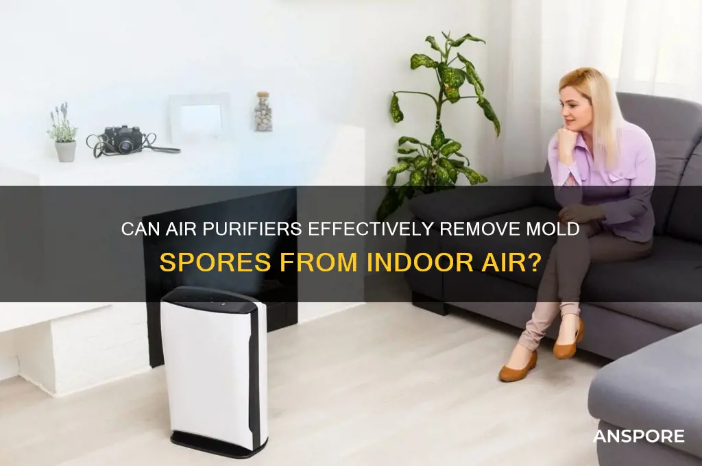 can air purifiers remove mold spores
