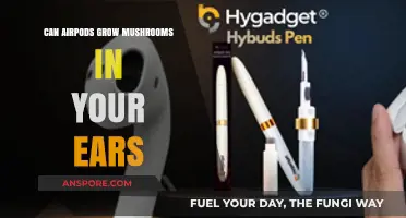 Can AirPods Cause Ear Fungus? Debunking the Mushroom Myth