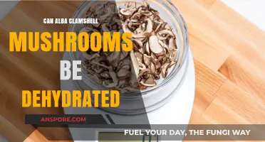 Dehydrating Alba Clamshell Mushrooms: Tips, Benefits, and Storage Guide