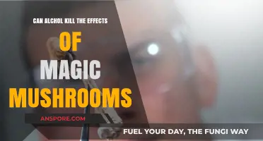 Alcohol and Magic Mushrooms: Can Drinking Counteract Psychedelic Effects?