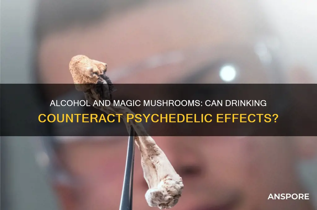 can alchol kill the effects of magic mushrooms