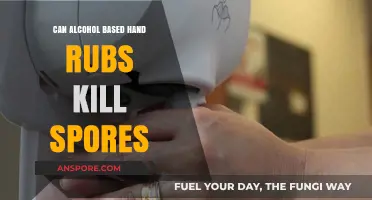 Can Alcohol-Based Hand Rubs Effectively Kill Spores? The Truth Revealed