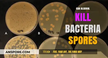 Alcohol's Effectiveness Against Bacteria Spores: Fact or Fiction?