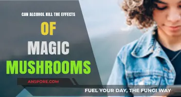 Alcohol and Magic Mushrooms: Do They Cancel Each Other Out?