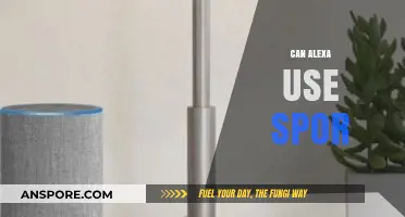 Can Alexa Use Spotify? A Comprehensive Guide to Music Streaming